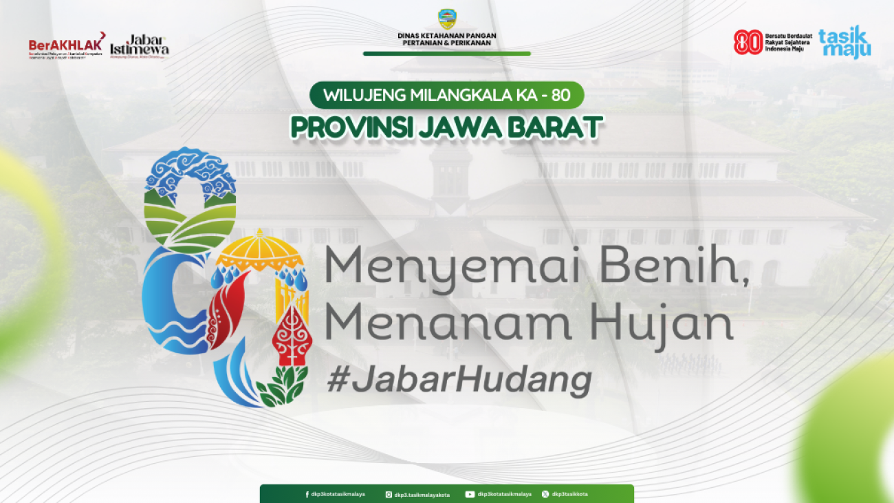 cover Website