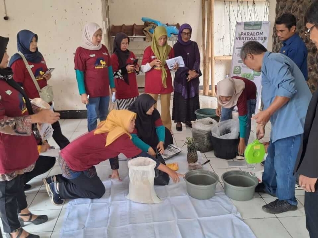 WhatsApp Image 2025-08-29 at 08.12.33